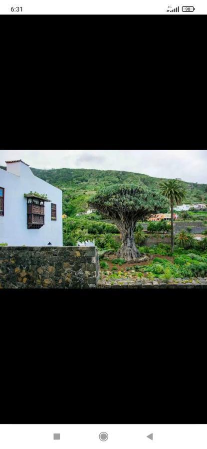 Mireya Home Icod de los Vinos Kültér fotó